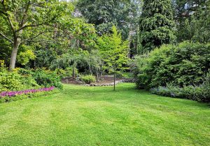 Optimiser l'expérience du jardin à Roce