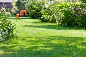 travaux jardin et paysage Roce